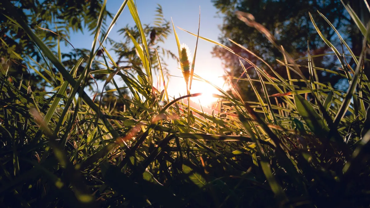 Soleil : première source de vitamine D